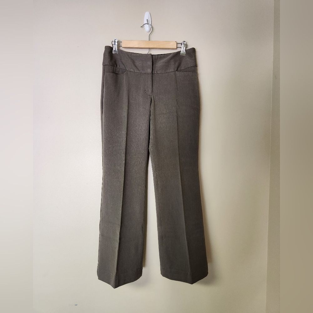 Express Dress Pants